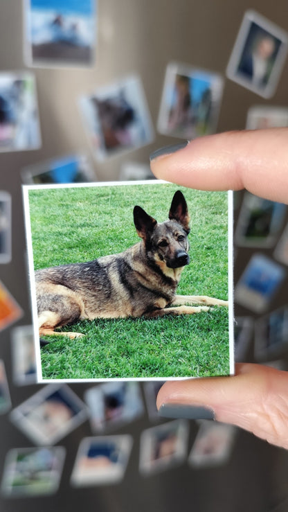 12er Set Fotomagnete, 5x5cm