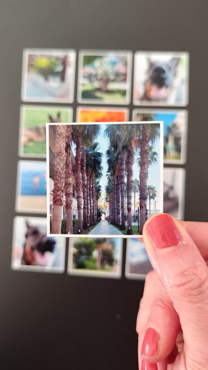 12er Set Fotomagnete, 5x5cm