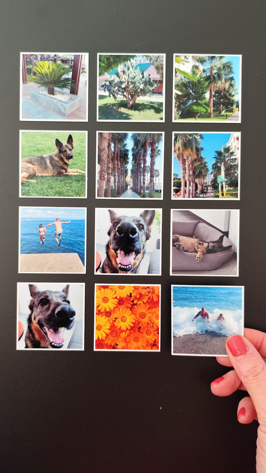 12er Set Fotomagnete, 5x5cm