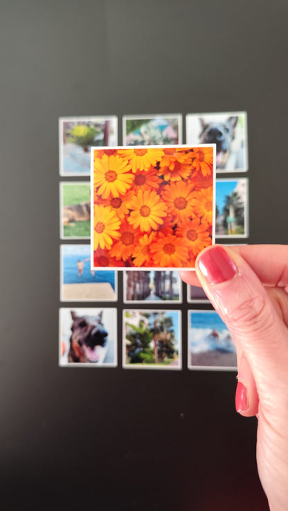 12er Set Fotomagnete, 5x5cm