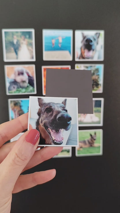 12er Set Fotomagnete, 5x5cm